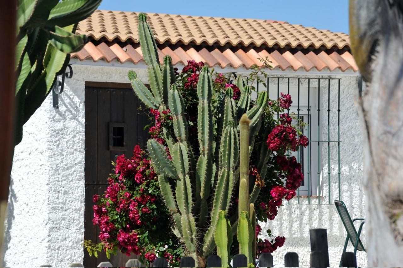 Apartmán Cortijo Flamingos Chiclana de la Frontera Exteriér fotografie